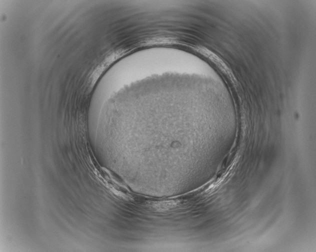 X0000070871337200607150112