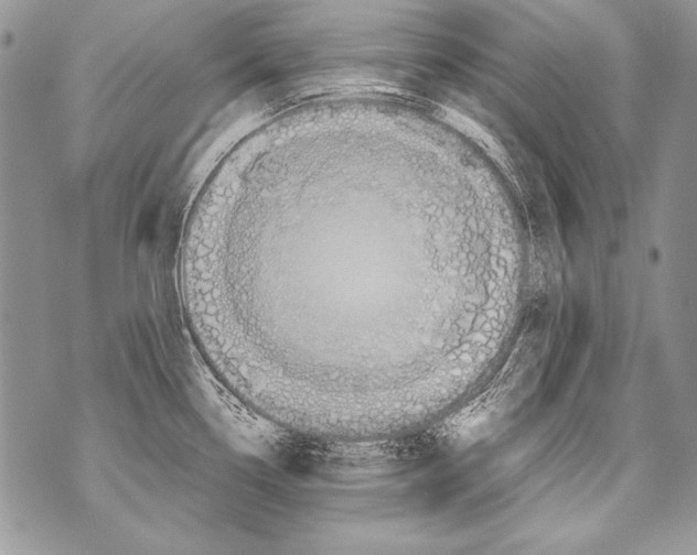 X0000070871338200607150112