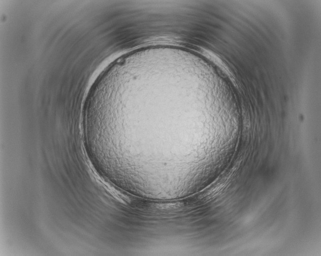 X0000070871339200607150112