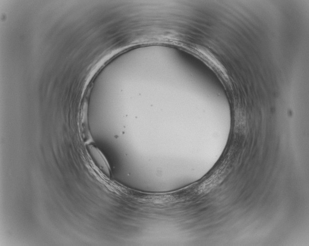 X0000070871340200607150112