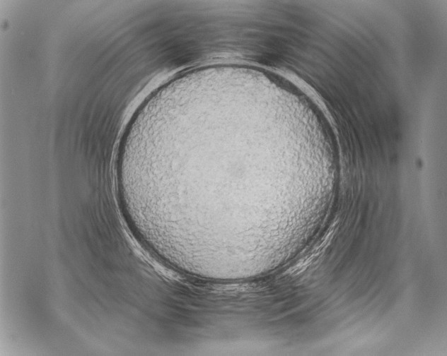 X0000070871341200607150112