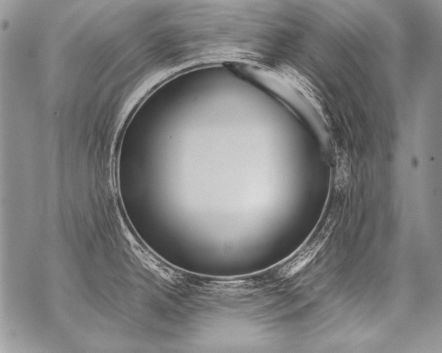 X0000070871342200607150112