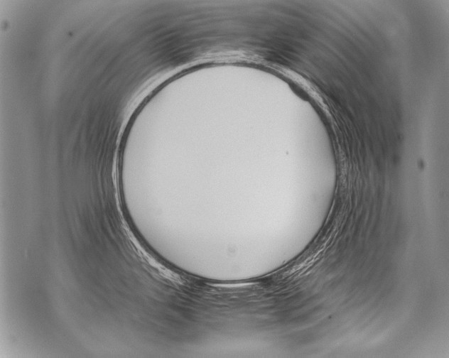 X0000070871343200607150112