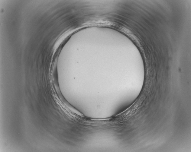 X0000070871344200607150112