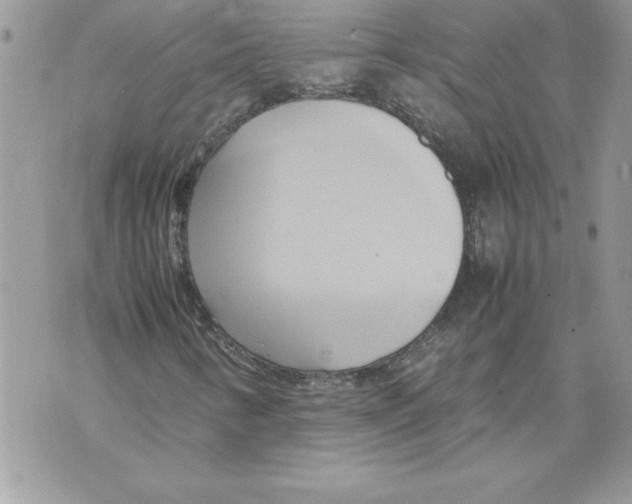 X0000070871346200607150111