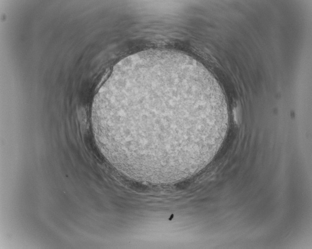 X0000070871347200607150111