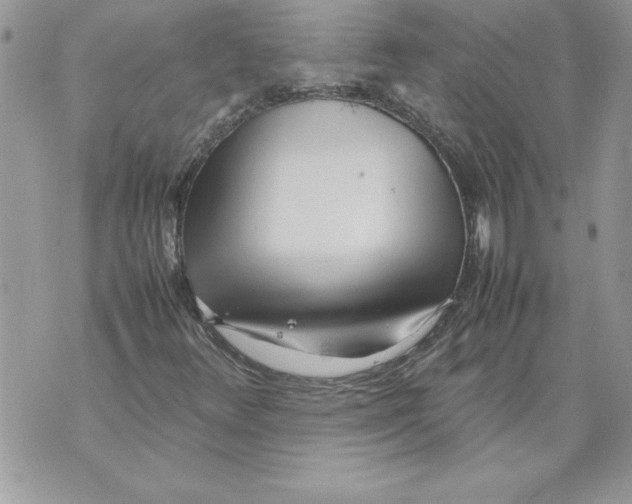 X0000070871348200607150111