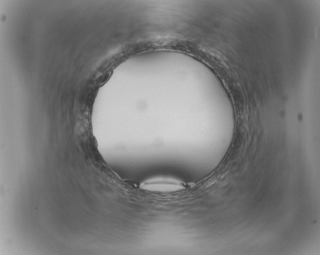 X0000070871349200607150111