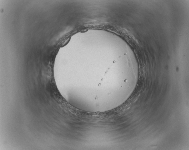 X0000070871350200607150111