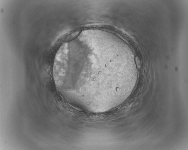 X0000070871351200607150111