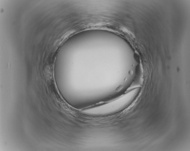 X0000070871353200607150111