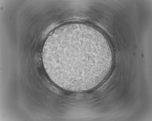 X0000070871355200607150111