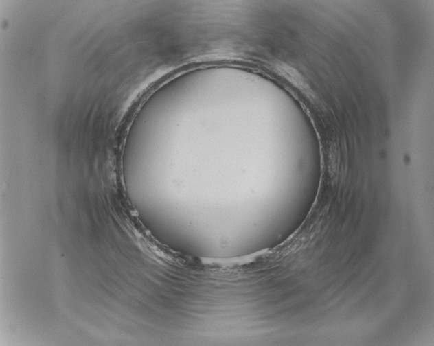 X0000070871356200607150111