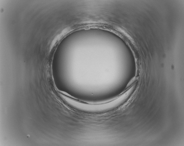 X0000070871357200607150111