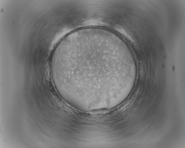 X0000070871358200607150111