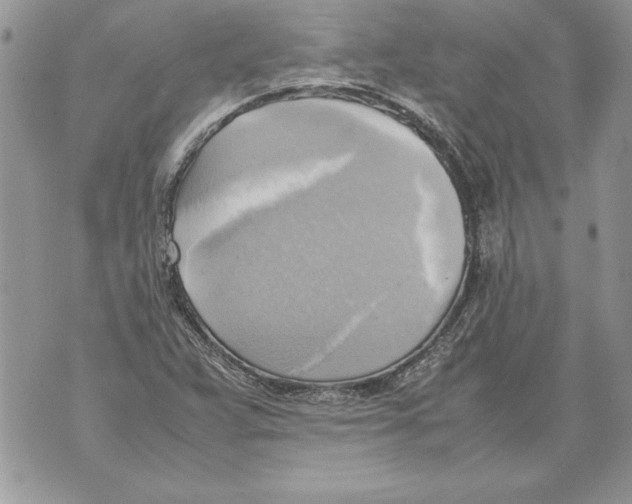 X0000070871359200607150111