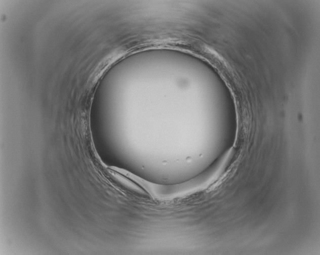 X0000070871361200607150111