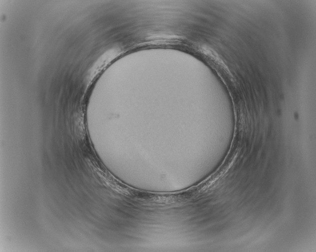 X0000070871362200607150111