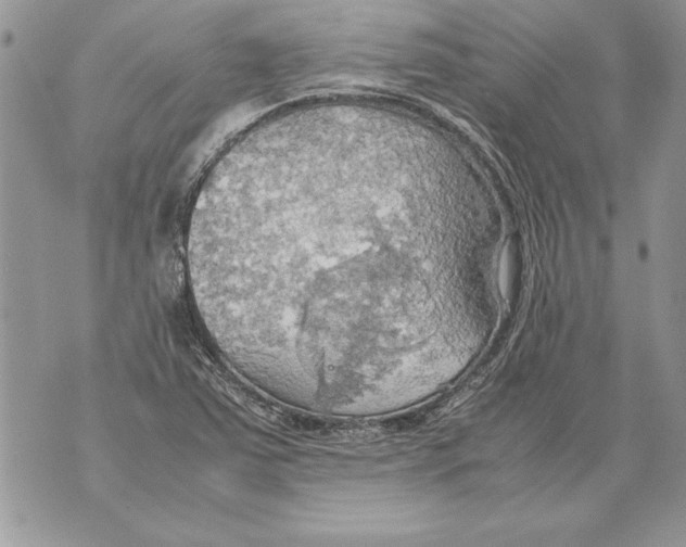 X0000070871363200607150111