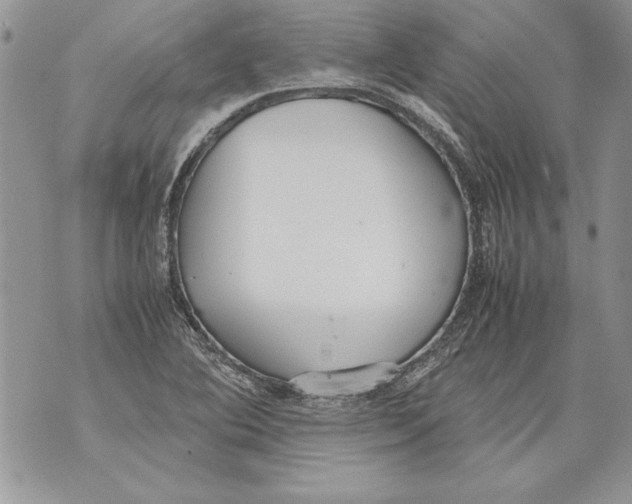 X0000070871364200607150111