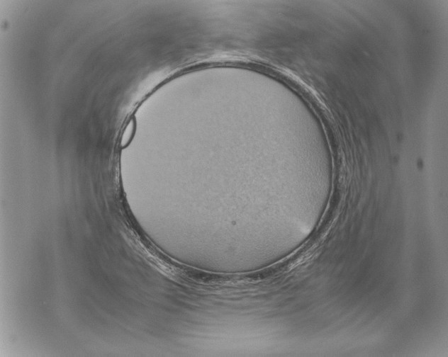 X0000070871367200607150111