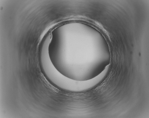 X0000070871368200607150111