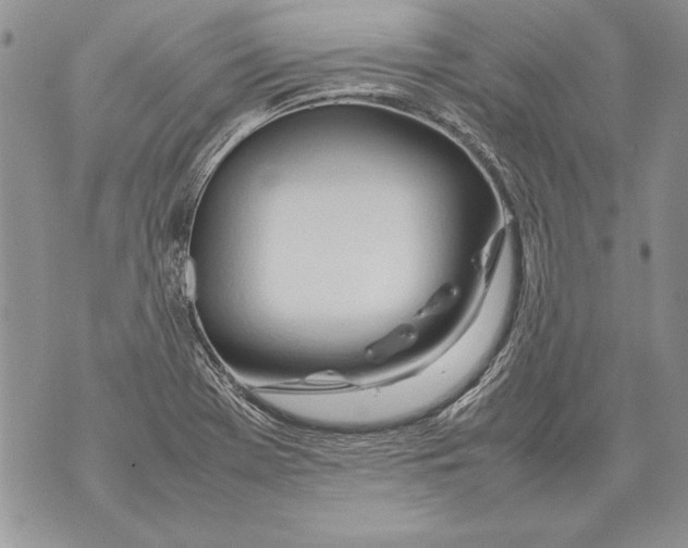 X0000070871369200607150111