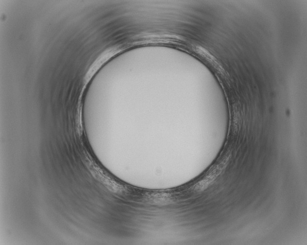 X0000070871370200607150110