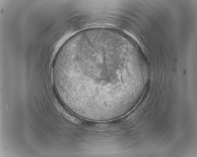 X0000070871371200607150110