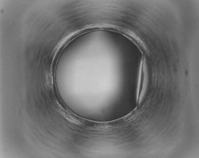 X0000070871372200607150110