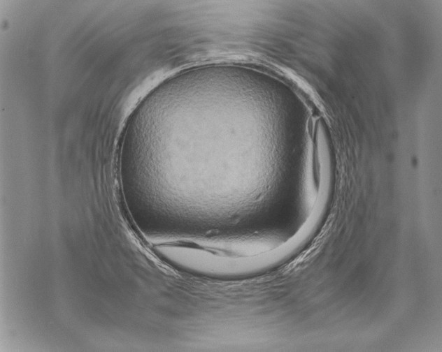 X0000070871373200607150110