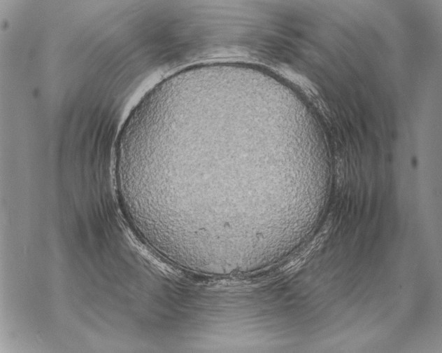 X0000070871374200607150110