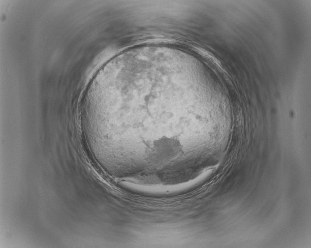 X0000070871375200607150110