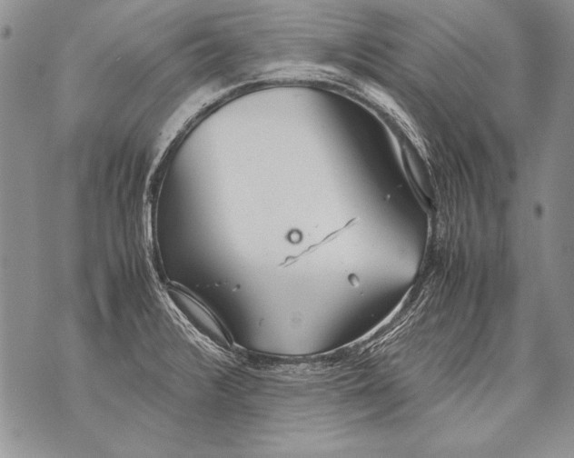 X0000070871376200607150110