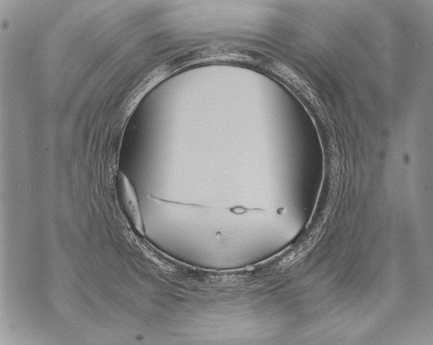 X0000070871377200607150110