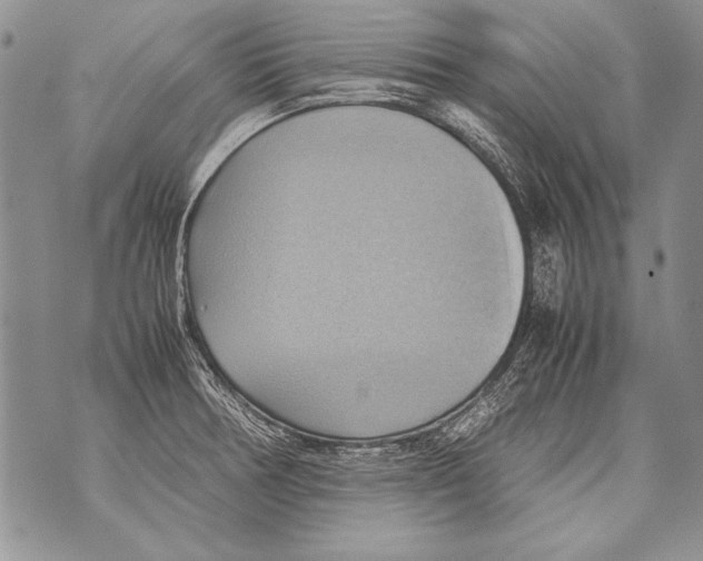 X0000070871378200607150110