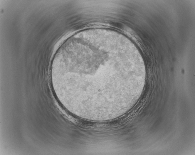 X0000070871379200607150110