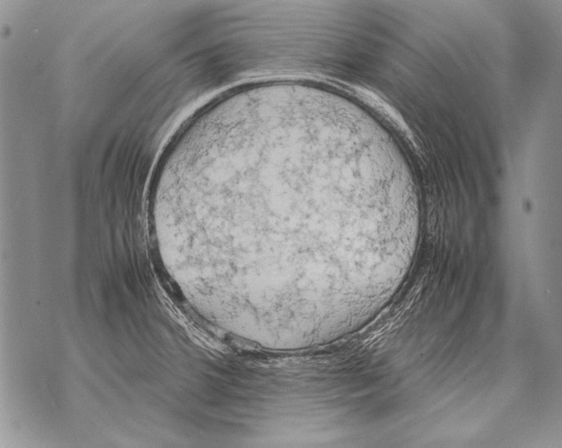 X0000070871380200607150110