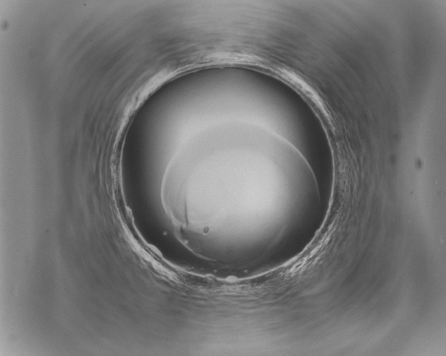 X0000070871381200607150110