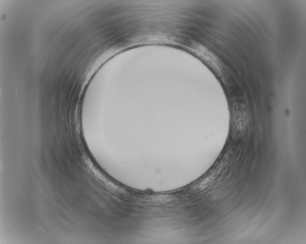 X0000070871382200607150110