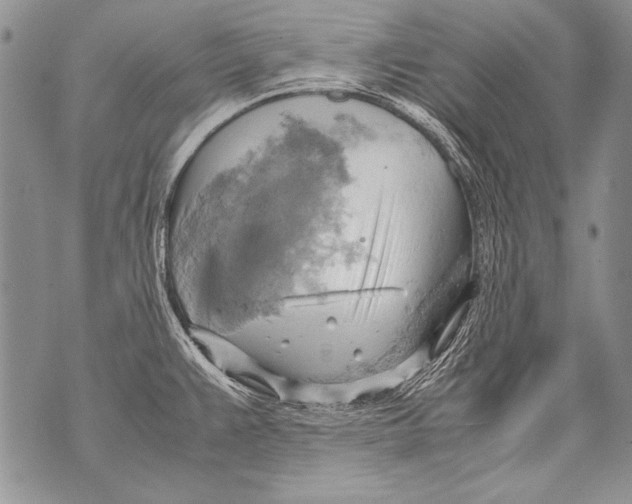 X0000070871383200607150110