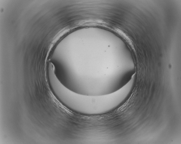 X0000070871384200607150110