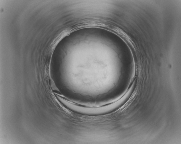 X0000070871385200607150110