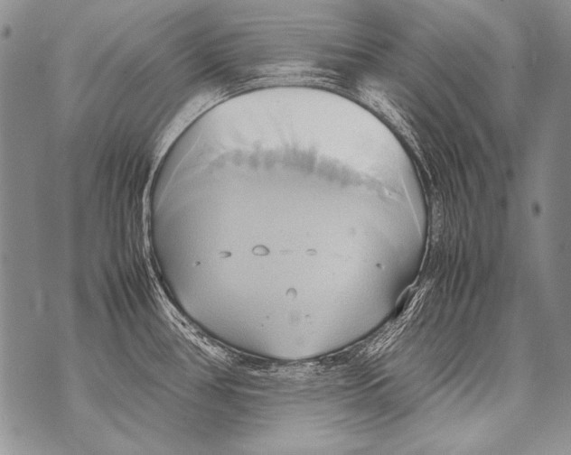 X0000070871386200607150110