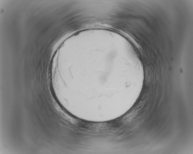 X0000070871387200607150110