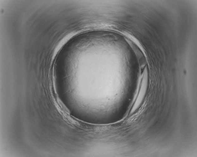 X0000070871389200607150110