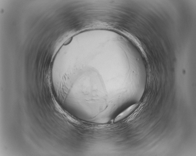 X0000070871390200607150110