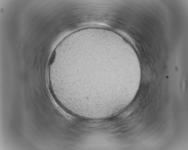 X0000070871391200607150110