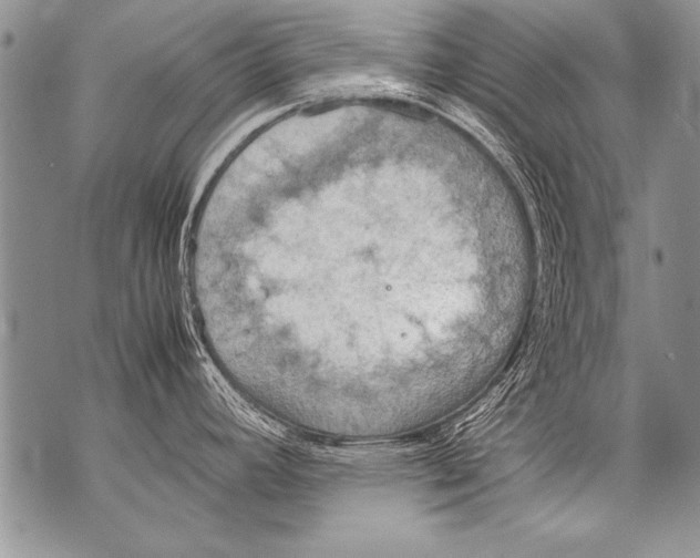 X0000070871392200607150110