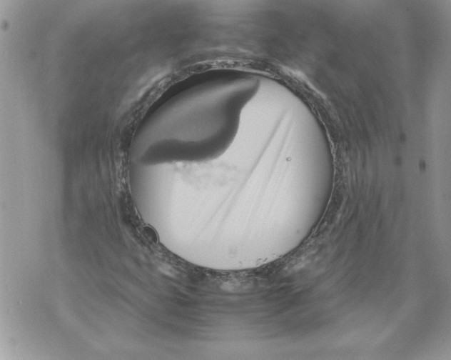 X0000070871399200607150109